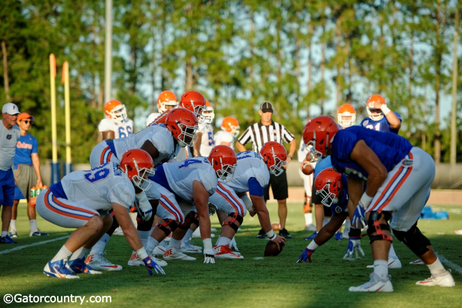 Florida Gators relishing underdog status