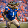 Kpgogators