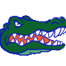 stray_gator