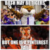 pinterest-fail-mascot-meme.png