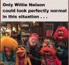 willie.jpg