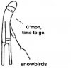 snowbirds.jpg