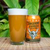 image-of-Stone-Tangerine-Express-Hazy-IPA-courtesy-of-Stone-Brewing.jpg