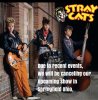 straycats.jpg