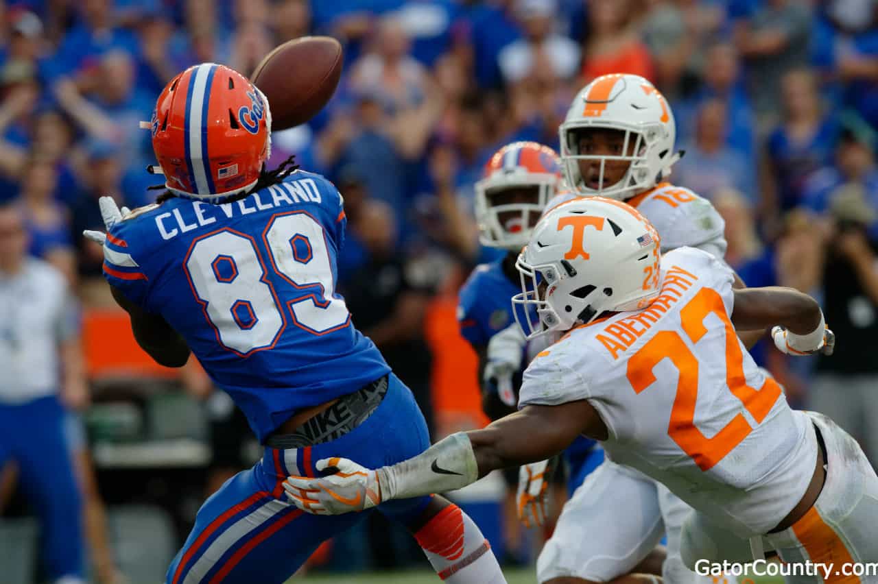 Florida Gators receiver Tyrie Cleveland catches game winning TD against